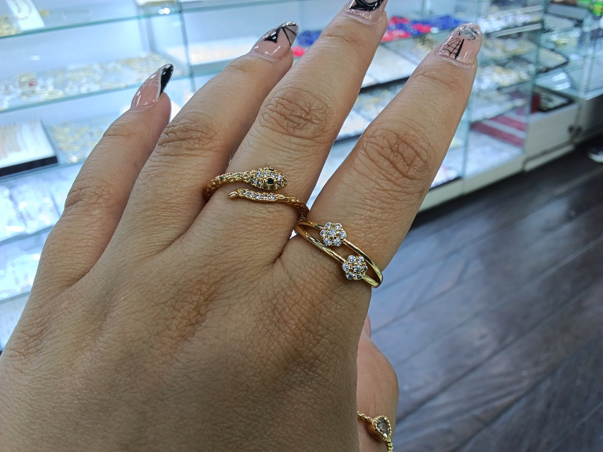 Anillos  en OL